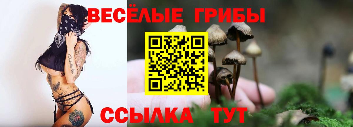 Галлюциногенные грибы мухоморы  Галлюциногенные грибы мухоморы  где можно купить наркотик  Вход с VPN  Пушкино 